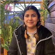 Clases de Física y Matemáticas para estudiantes de enseñanza media o universitarios